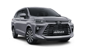 1-avanza-purplish-silver.png